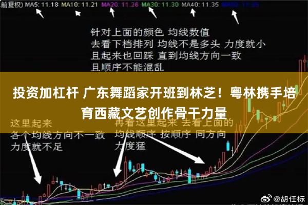 投资加杠杆 广东舞蹈家开班到林芝！粤林携手培育西藏文艺创作骨干力量