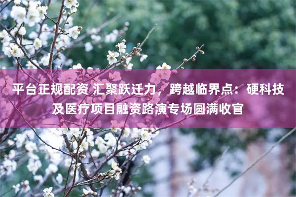 平台正规配资 汇聚跃迁力，跨越临界点：硬科技及医疗项目融资路演专场圆满收官