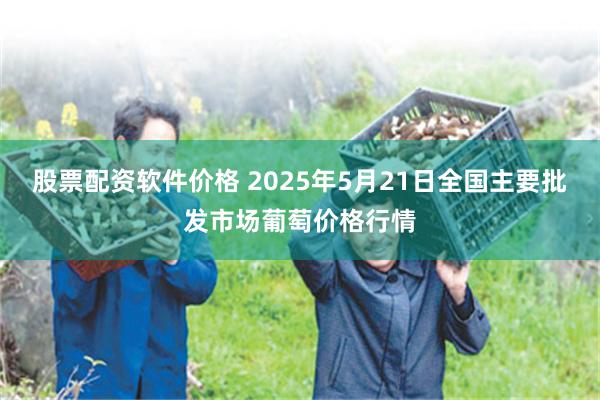 股票配资软件价格 2025年5月21日全国主要批发市场葡萄价格行情