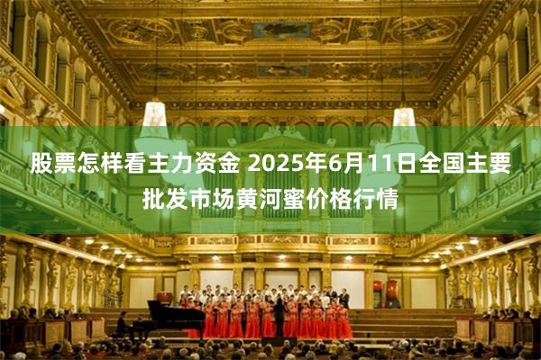 股票怎样看主力资金 2025年6月11日全国主要批发市场黄河蜜价格行情
