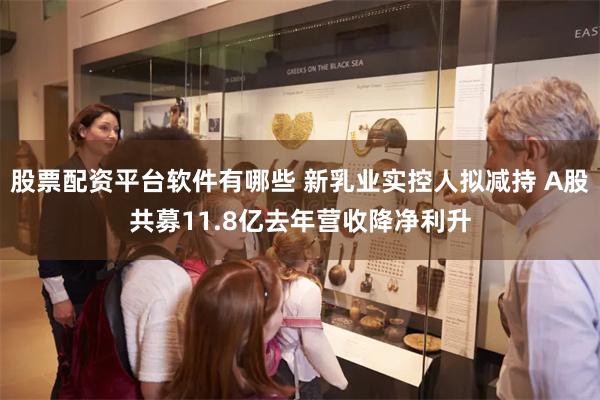 股票配资平台软件有哪些 新乳业实控人拟减持 A股共募11.8亿去年营收降净利升